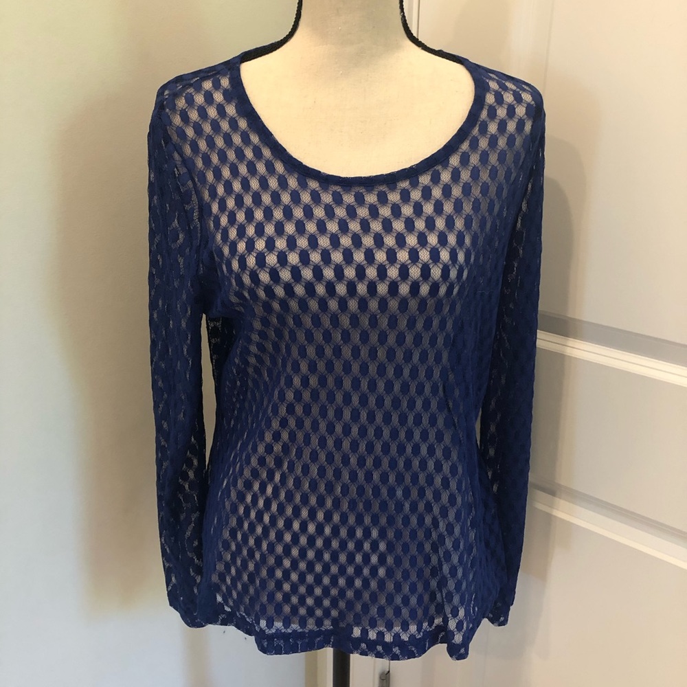 Pleats Collection Sheer Top